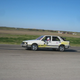 Illustration for article titled The 24 Hours Of LeMons Texas Gator-O-Rama Über Gallery: The Europeans